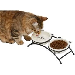 Frisco 29 Frisco Cat Face Non-skid Elevated Double Ceramic Cat Bowl