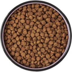 Frisco Paris Non-skid Ceramic Cat Dish -Frisco 256117 PT5. AC SS1800 V1615311392