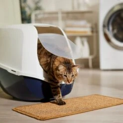 Frisco Sisal Mat 10 Frisco Sisal Mat -Frisco 259250 PT3. AC SS1800 V1675279993