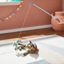 Frisco Pinata Teaser Wand Cat Toy With Catnip -Frisco 264446 PT3. AC SS1800 V1618948636