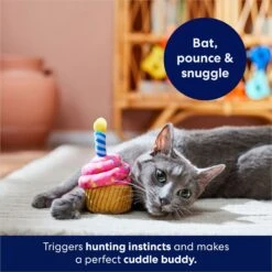 Frisco Birthday Cupcake Plush Cat Toy With Refillable Catnip -Frisco 264456 PT5. AC SS1800 V1691785246