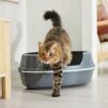 Frisco Corner Sifting Cat Litter Box With Rim -Frisco 264933 MAIN. AC SS1800 V1675279641