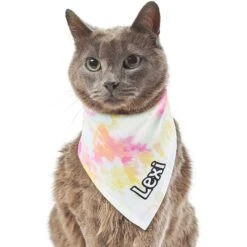 Frisco Tiedye Personalized Dog & Cat Bandana -Frisco 267482 PT7. AC SS1800 V1632420107