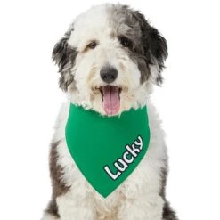 Frisco Solid Color Personalized Dog & Cat Bandana -Frisco 267489 PT6. AC SS1800 V1632418582