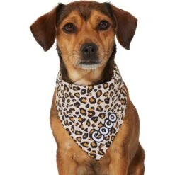 Frisco Leopard Print Personalized Dog & Cat Bandana -Frisco 267543 PT7. AC SS1800 V1623164552