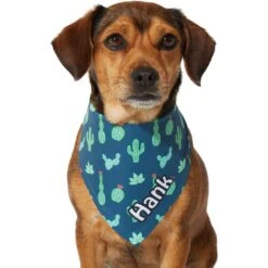Frisco Cactus Personalized Dog & Cat Bandana -Frisco 267551 PT7. AC SS1800 V1623164614