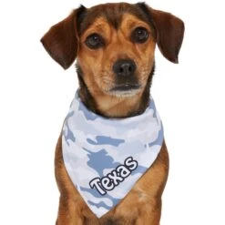 Frisco Gray Camo Personalized Dog & Cat Bandana -Frisco 267571 PT7. AC SS1800 V1623164679
