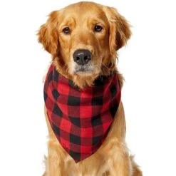 Red Buffalo Plaid Dog & Cat Bandana -Frisco 267899 PT2. AC SS1800 V1637649415