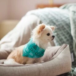 Frisco Geometric Dog & Cat Bandana 15 Frisco Geometric Dog & Cat Bandana -Frisco 267907 PT5. AC SS1800 V1637652153