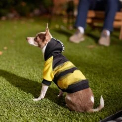 Frisco Rebel Dog & Cat Hoodie 16 Frisco Rebel Dog & Cat Hoodie -Frisco 267994 PT6. AC SS1800 V1637730463