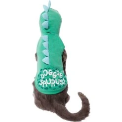Frisco Doggiesaurus Dog & Cat Hoodie, Green -Frisco 268033 PT3. AC SS1800 V1637673755