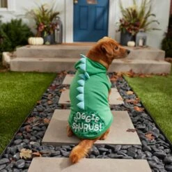 Frisco Doggiesaurus Dog & Cat Hoodie, Green -Frisco 268033 PT6. AC SS1800 V1637671011