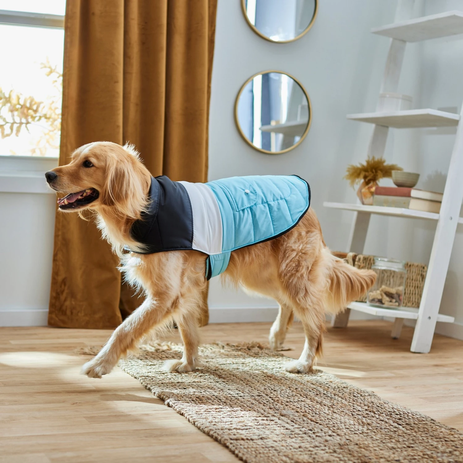 Frisco Mediumweight Colorblock Insulated Dog & Cat Puffer Coat With Pocket, Blue 9 Frisco Mediumweight Colorblock Insulated Dog & Cat Puffer Coat With Pocket, Blue - Image 7