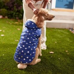 Frisco Mediumweight Metallic Star Print Insulated Dog & Cat Parka, Navy 15 Frisco Mediumweight Metallic Star Print Insulated Dog & Cat Parka, Navy -Frisco 268413 PT8. AC SS1800 V1629757357