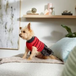 Frisco Chenille Knit Striped Dog & Cat Dress -Frisco 268668 PT8. AC SS1800 V1629762896