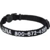 Frisco Nylon Personalized Breakaway Cat Collar With Bell -Frisco 270731 MAIN. AC SS1800 V1619050045