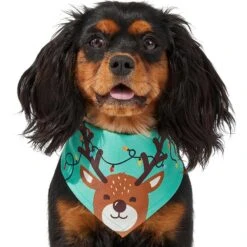 Frisco Peekaboo Reindeer Dog & Cat Bandana 13 Frisco Peekaboo Reindeer Dog & Cat Bandana -Frisco 276198 PT3. AC SS1800 V1637687013