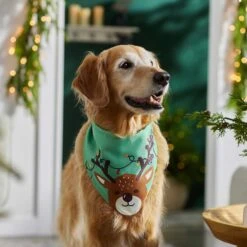 Frisco Peekaboo Reindeer Dog & Cat Bandana 15 Frisco Peekaboo Reindeer Dog & Cat Bandana -Frisco 276198 PT5. AC SS1800 V1637644939