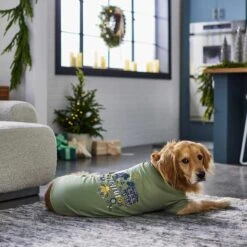 Frisco Joyful Hygge-Inspired Dog & Cat T-shirt -Frisco 276488 PT5. AC SS1800 V1637666798