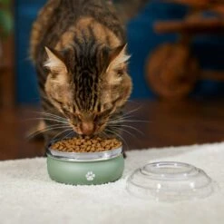 Frisco Travel Non-skid Stainless Steel Dog & Cat Bowl -Frisco 277503 PT3. AC SS1800 V1630348152