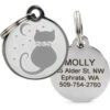 Frisco Starry Moon Crystal Cat Personalized Cat ID Tag -Frisco 286963 MAIN. AC SS1800 V1618432341