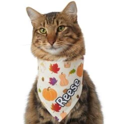 Frisco Pumpkin Spice Personalized Dog & Cat Bandana 18 Frisco Pumpkin Spice Personalized Dog & Cat Bandana -Frisco 296998 PT7. AC SS1800 V1627654273