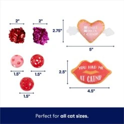 Frisco Valentine Variety Pack Cat Toy With Catnip, 13 Count -Frisco 298966 PT2. AC SS1800 V1701364858
