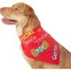 Frisco Official Cookie Tester Personalized Dog & Cat Bandana -Frisco 301353 MAIN. AC SS1800 V1632923476