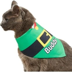 Frisco Santa's Favorite Elf Personalized Dog & Cat Bandana -Frisco 301369 PT7. AC SS1800 V1628100114