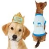 Frisco Happy Birthday Dog & Cat Crown & Frisco It's My Birthday & Cat T-Shirt