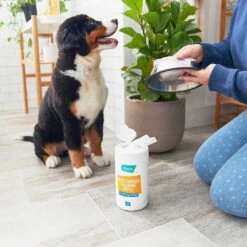 Catit Flower Plastic Cat Fountain & Frisco Pet Toy & Bowl Cleaning Wipes, 70 Count -Frisco 303288 PT7. AC SS1800 V1623047247