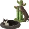 Frisco Self Warming Bolster Round Kitten Bed & Frisco Cactus Cat Scratching Post 1 Frisco Self Warming Bolster Round Kitten Bed & Frisco Cactus Cat Scratching Post -Frisco 303576 MAIN. AC SS1800 V1623039741