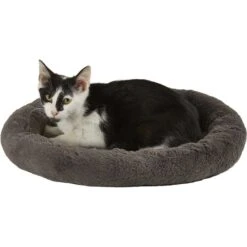 Frisco Self Warming Bolster Round Kitten Bed & Frisco Cactus Cat Scratching Post -Frisco 303576 PT1. AC SS1800 V1623076040