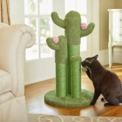 Frisco Self Warming Bolster Round Kitten Bed & Frisco Cactus Cat Scratching Post -Frisco 303576 PT7. AC SS1800 V1623065551