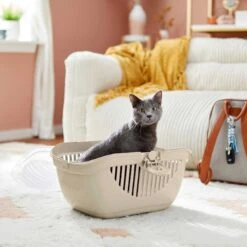 Frisco Top Loading Cat Kennel & Frisco Cactus Cat Scratching Post 14 Frisco Top Loading Cat Kennel & Frisco Cactus Cat Scratching Post -Frisco 303648 PT4. AC SS1800 V1623053540