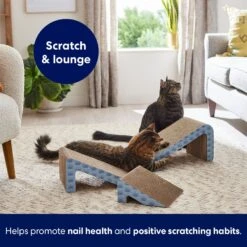 Frisco Nesting Cat Scratcher Toy With Catnip -Frisco 308876 PT5. AC SS1800 V1691785301