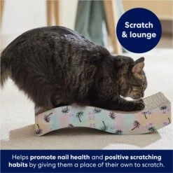 Frisco Wave Cat Scratcher Toy With Catnip -Frisco 308885 PT3. AC SS1800 V1678723851