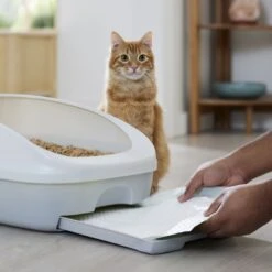 Frisco Cat Litter Pads, Scented -Frisco 309828 PT5. AC SS1800 V1675280050