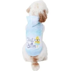Frisco Just Chillin Dog & Cat Hoodie