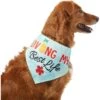 Frisco Living My Best Life Dog & Cat Bandana -Frisco 312288 MAIN. AC SS1800 V1644881351