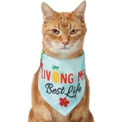 Frisco Living My Best Life Dog & Cat Bandana -Frisco 312288 PT2. AC SS1800 V1644884916