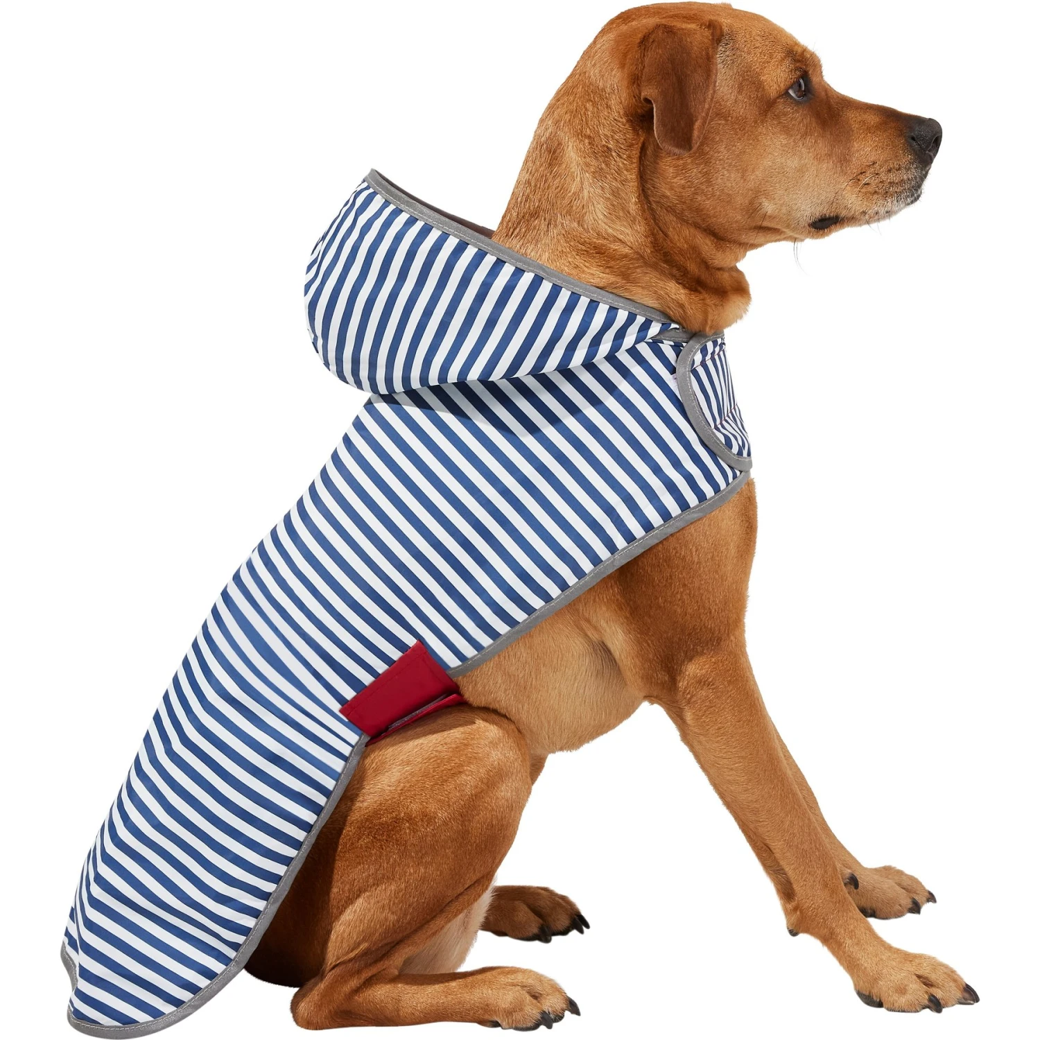 Frisco Lightweight Red Reversible Packable Dog Raincoat 5 Frisco Lightweight Red Reversible Packable Dog Raincoat - Image 3