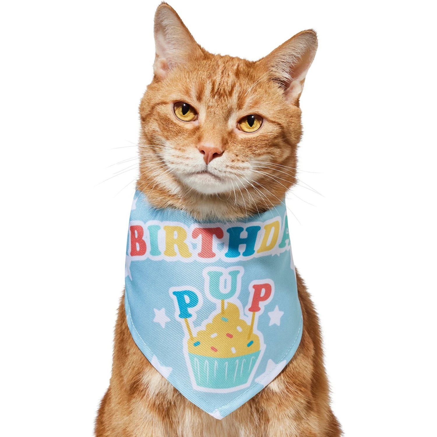 Frisco Birthday Pup Dog & Cat Bandana 5 Frisco Birthday Pup Dog & Cat Bandana - Image 3