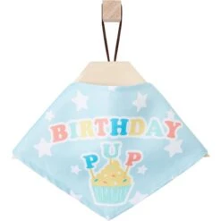 Frisco Birthday Pup Dog & Cat Bandana 12 Frisco Birthday Pup Dog & Cat Bandana -Frisco 315130 PT4. AC SS1800 V1646441905