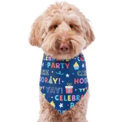 Frisco Celebration Dog & Cat Bandana