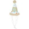 Frisco It's A Party Animal Dog & Cat Hat -Frisco 315140 MAIN. AC SS1800 V1646436086