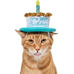 Frisco It's My Birthday Dog & Cat Hat -Frisco 315142 PT3. AC SS1800 V1646437287