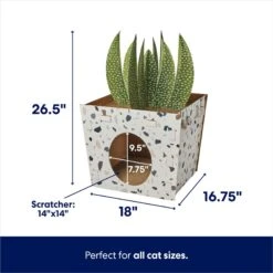 Frisco Potted Succulent Cardboard Cat House 9 Frisco Potted Succulent Cardboard Cat House -Frisco 317723 PT1. AC SS1800 V1689351050