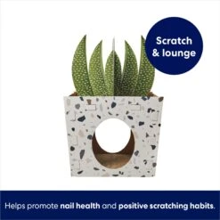 Frisco Potted Succulent Cardboard Cat House 10 Frisco Potted Succulent Cardboard Cat House -Frisco 317723 PT2. AC SS1800 V1689342085