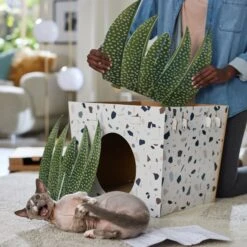 Frisco Potted Succulent Cardboard Cat House 11 Frisco Potted Succulent Cardboard Cat House -Frisco 317723 PT3. AC SS1800 V1688677248